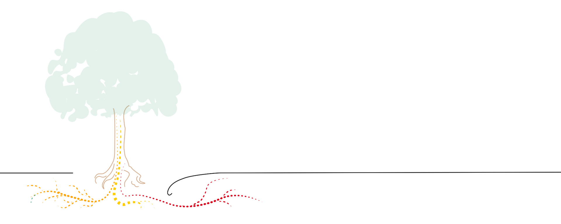 Drawing of a tree and roots