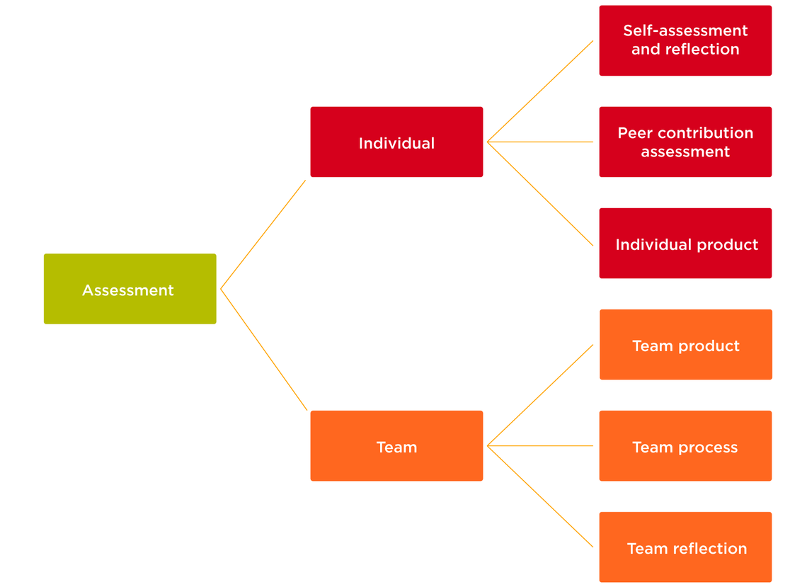 Assessment graphic Assessment graphic