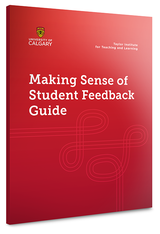 The Making Sense of Student Feedback Guide